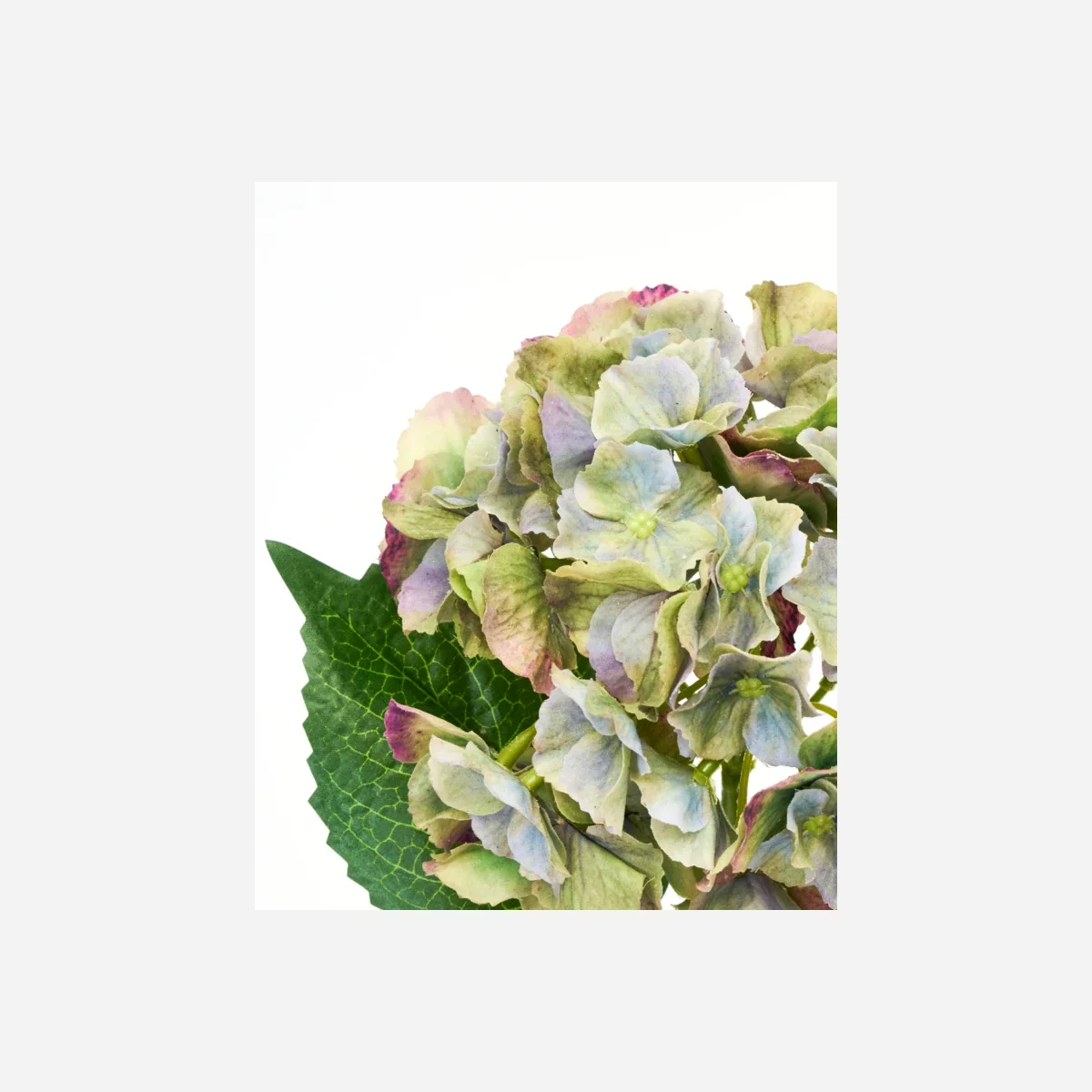 Artificial flower, HDHydrangea, Grøn, Blå - Billede 4