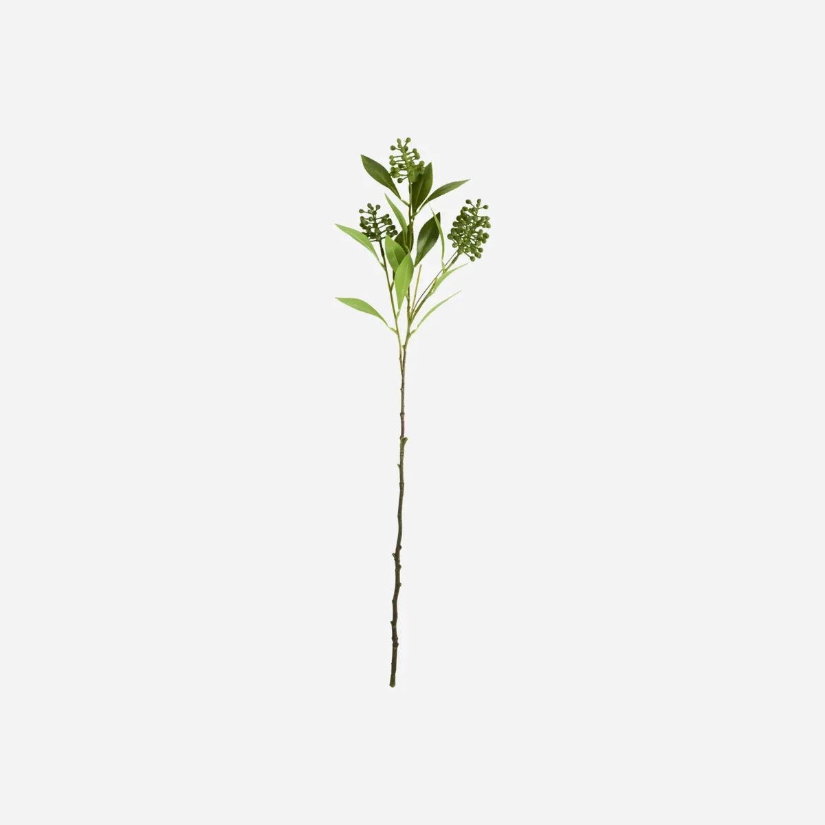 Artificial branch, HDLigustrum, Grøn