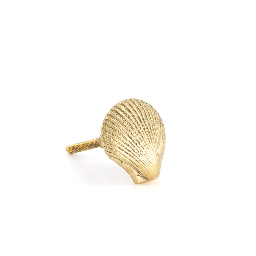 Abby Shell Knob